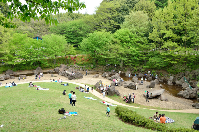 四季の森公園